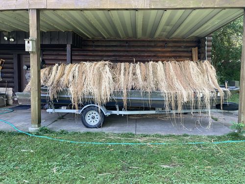 Customer photo review of Hunting Blind Raffia Grass (Pack)