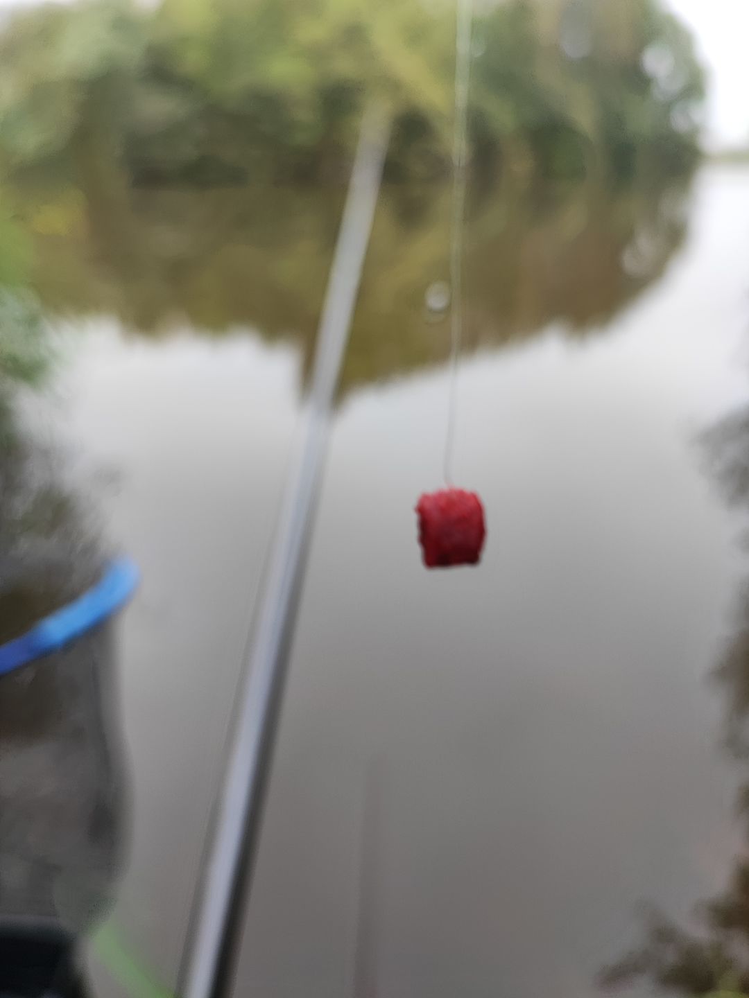 Customer photo review of SOFT HOOK PELLETS 100g