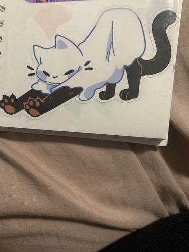 Customer photo review of Cute Ghost Cat Stickers!