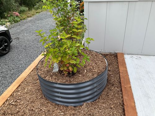 Customer photo review of 17” Tall Large Round