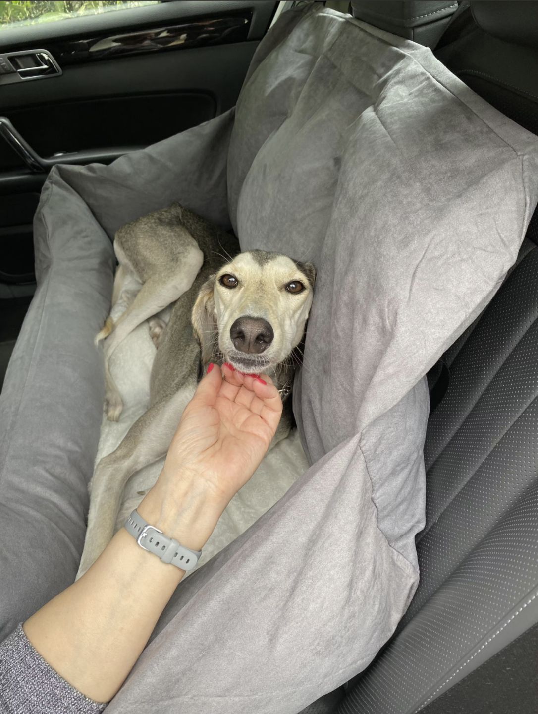 Customer photo review of Large Car Bed