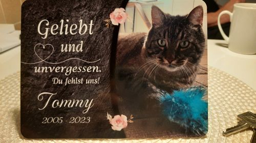 Customer photo review of Katzen Gedenktafel mit Foto & Spruch