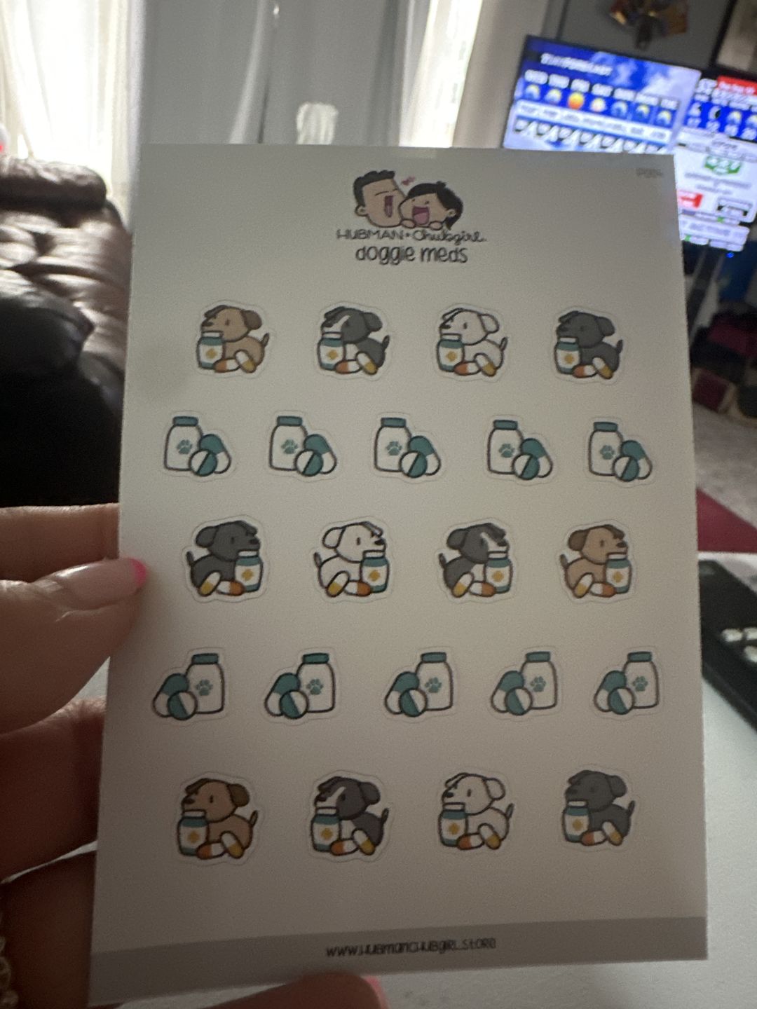 Customer photo review of Doggie Meds Planner Stickers