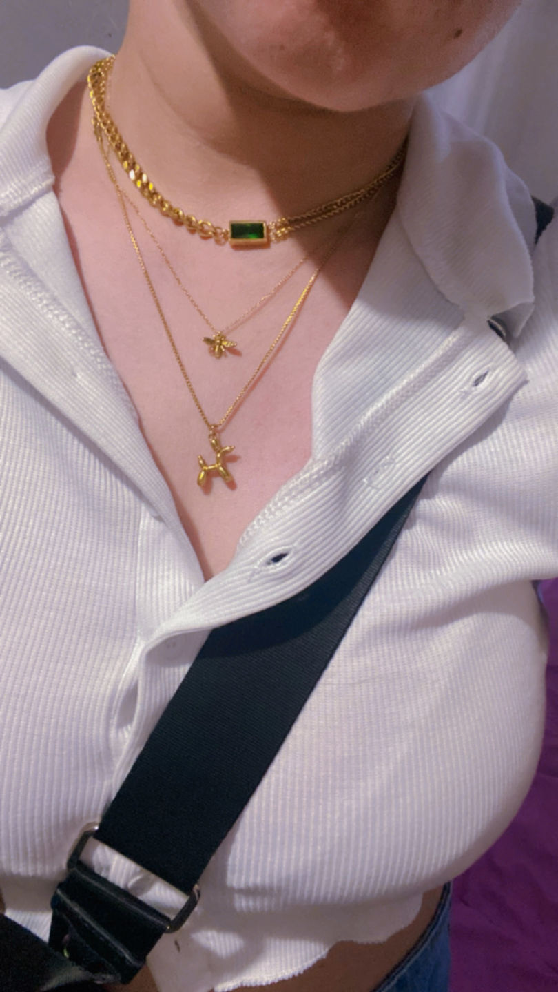 Customer photo review of Collar Queen Bee