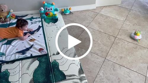 Customer video review of Under The Sea · Regular