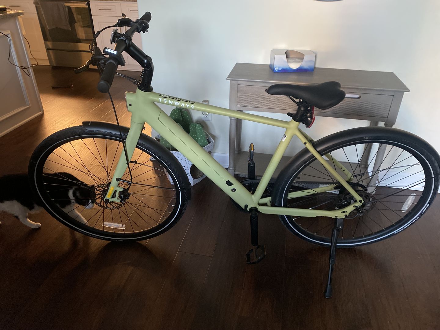 Customer photo review of TENWAYS CGO600 Pro