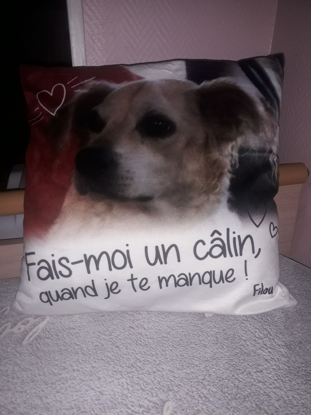 Customer photo review of Fais moi un câlin quand je te manque - Coussin personnalisé