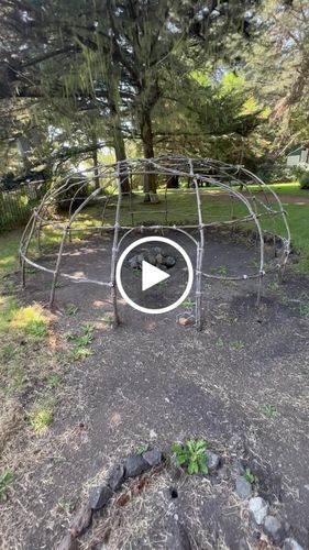 Customer video review of PlantWave