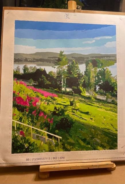 Customer photo review of MÅLA EFTER NUMMER – SKAPA EN PERSONLIG TAVLA AV DITT EGET FOTO
