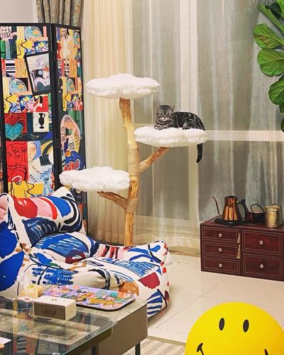 Customer photo review of Michu Fluffy Blossom Real Wood Cat Tree - Premium Quality & Stylish Cat Furniture - Extra Large