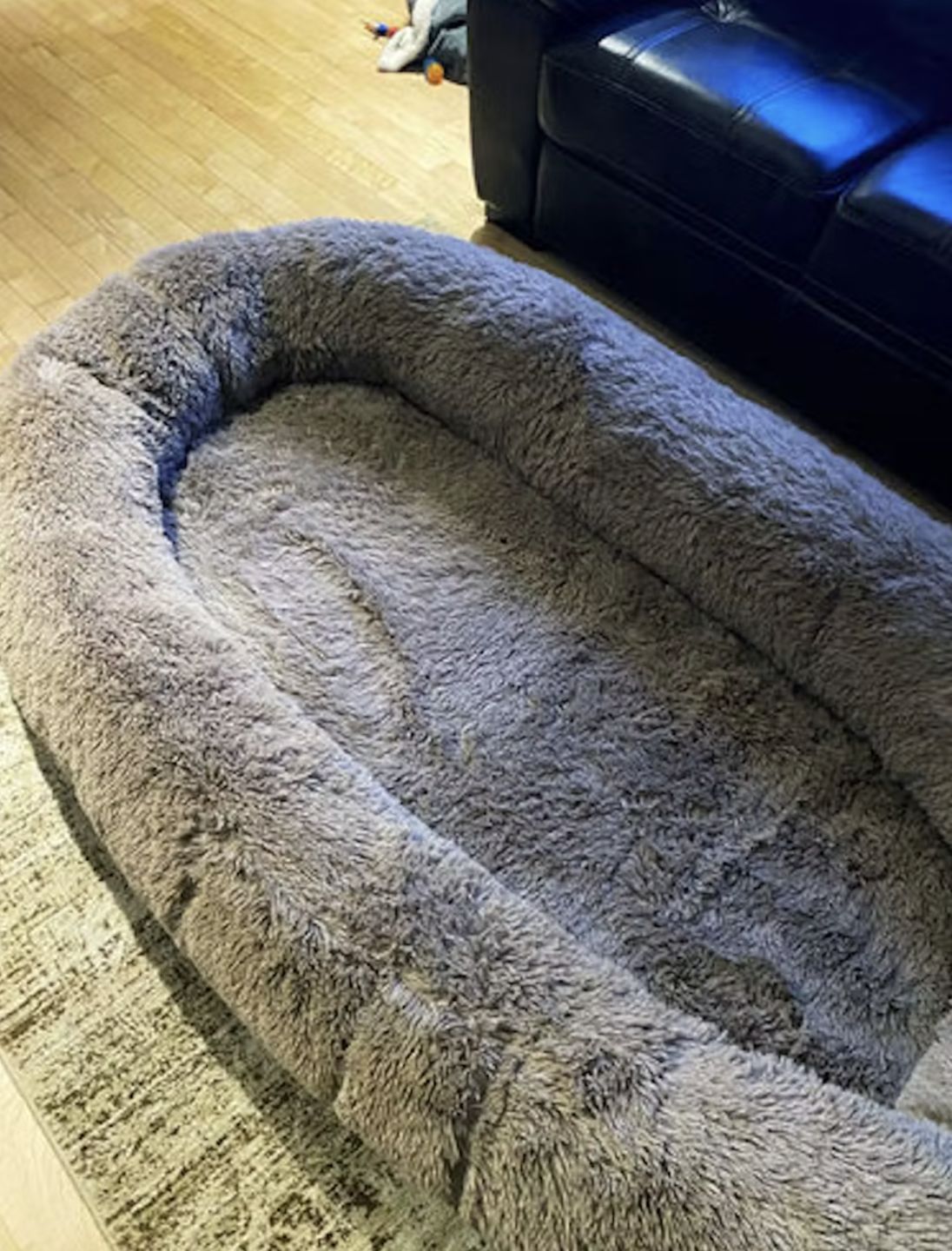 Customer photo review of Human Dog Bed