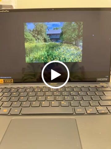 Customer video review of Custom House Portrait