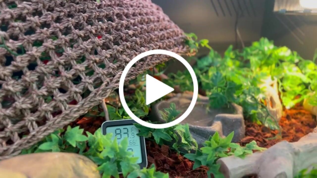 Customer video review of 36"x24"x18" Premium PVC Reptile Enclosure