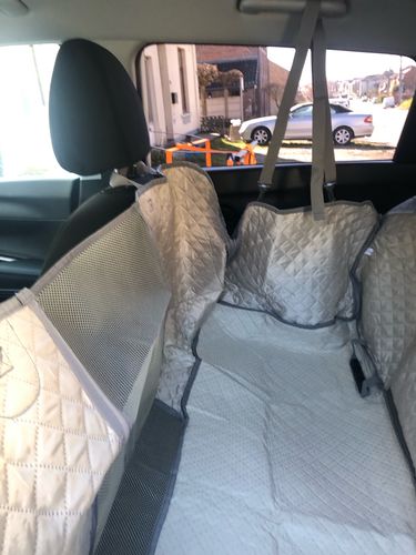Customer photo review of Scratchguard | Autorücksitz Hundematte