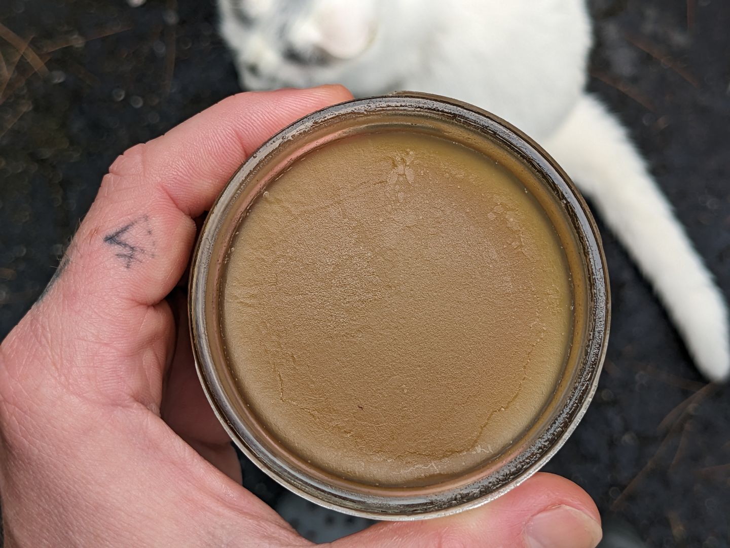 Customer photo review of Pasture Raised Leaf Lard (14 oz)