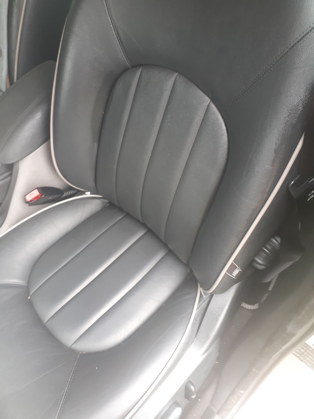 Customer photo review of Hide - Leather Cleaner