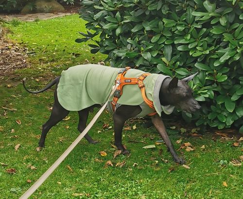 Customer photo review of PAIKKA Recovery Winter Shirt green