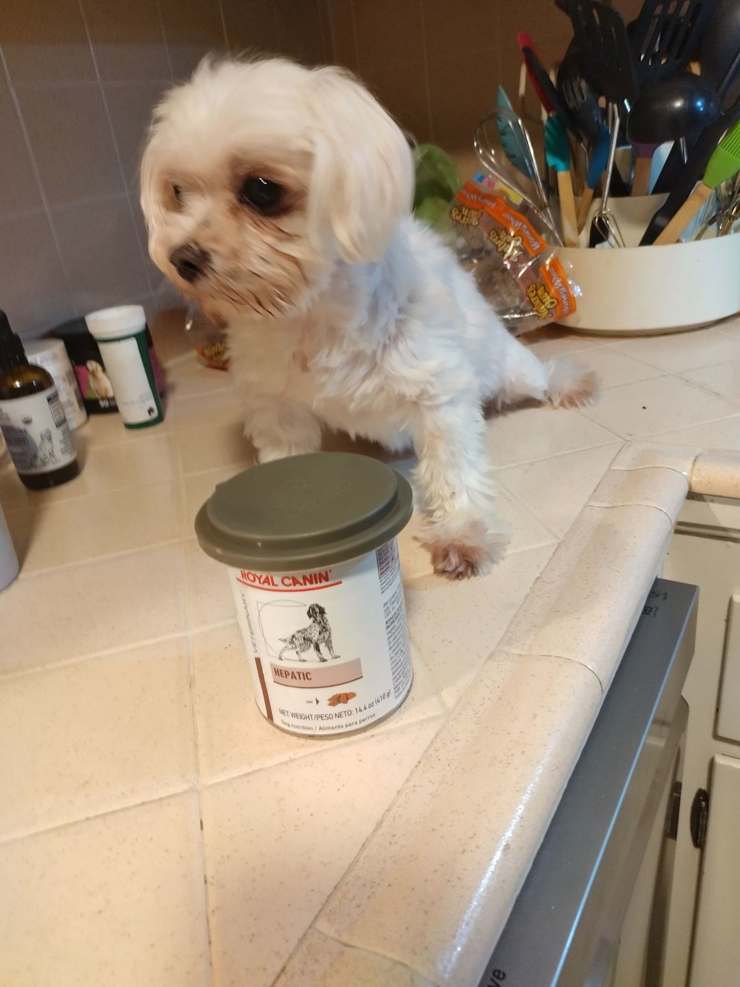 Customer photo review of Royal Canin Veterinary Diet - Hepatic Canned Dog Food