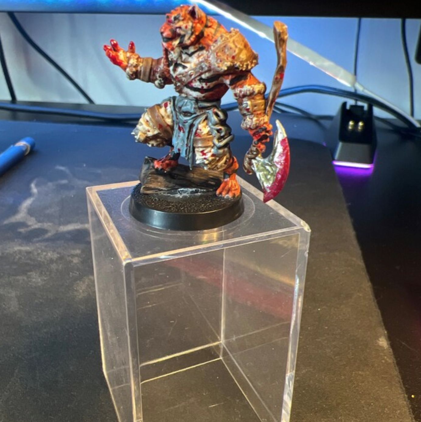 Customer photo review of Tabaxi Barbarian, Male