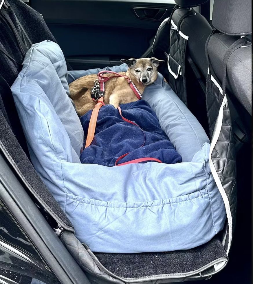 Customer photo review of Large Car Bed