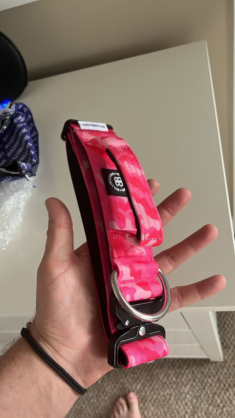 Customer photo review of 5cm Combat® Collar | With Handle & Rated Clip - Bubblegum v2.0
