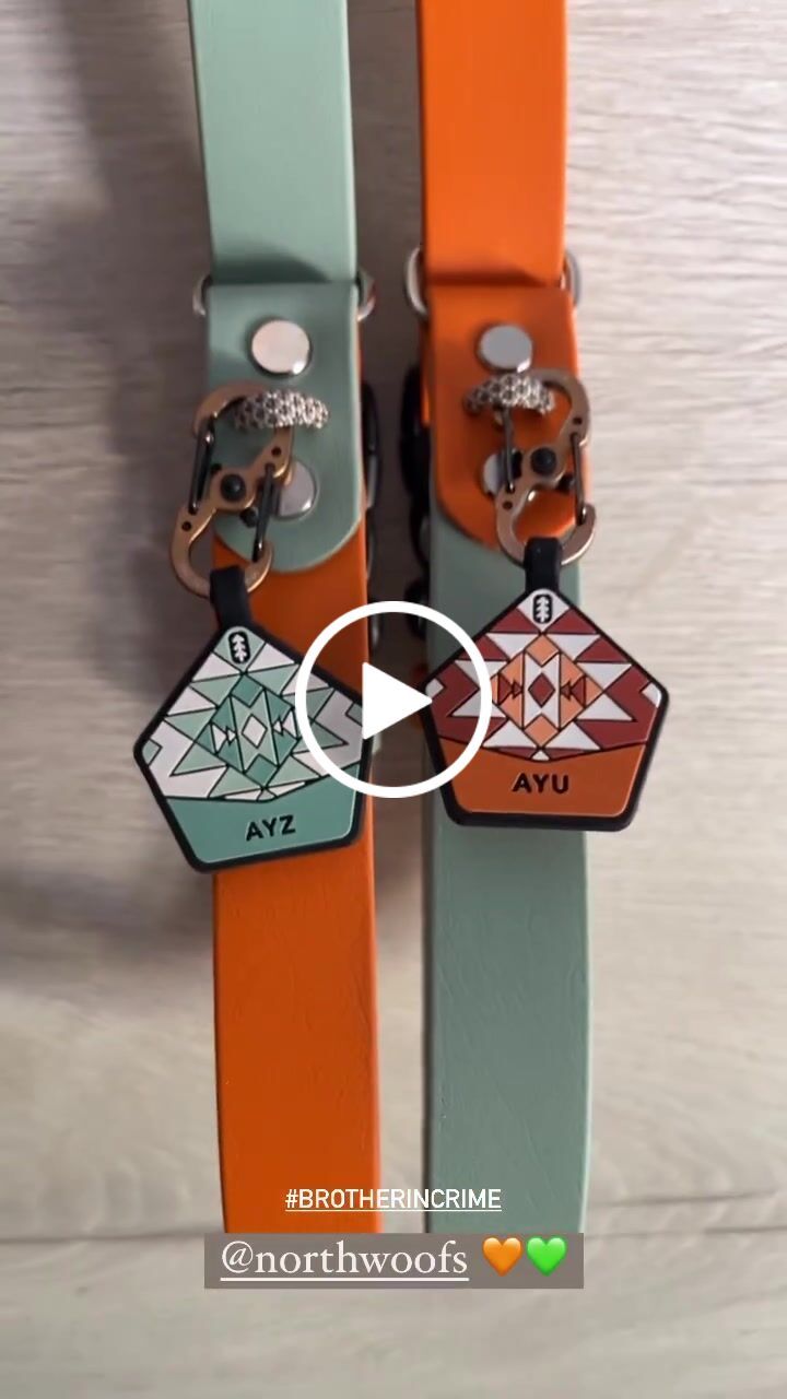 Customer video review of The Tide - Limited QuickSlip™ Collar