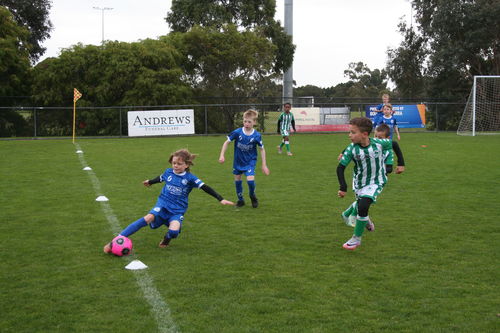 Customer photo review of T-Spec Series IV - Club Training Football