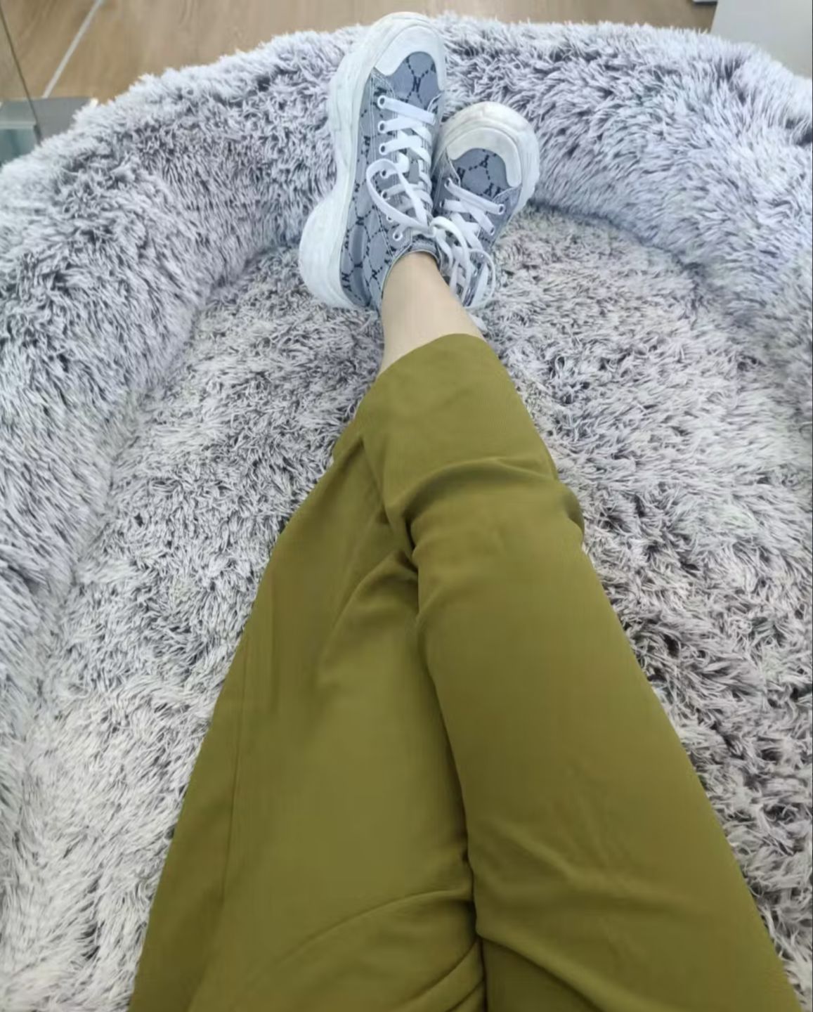 Customer photo review of Human Dog Bed