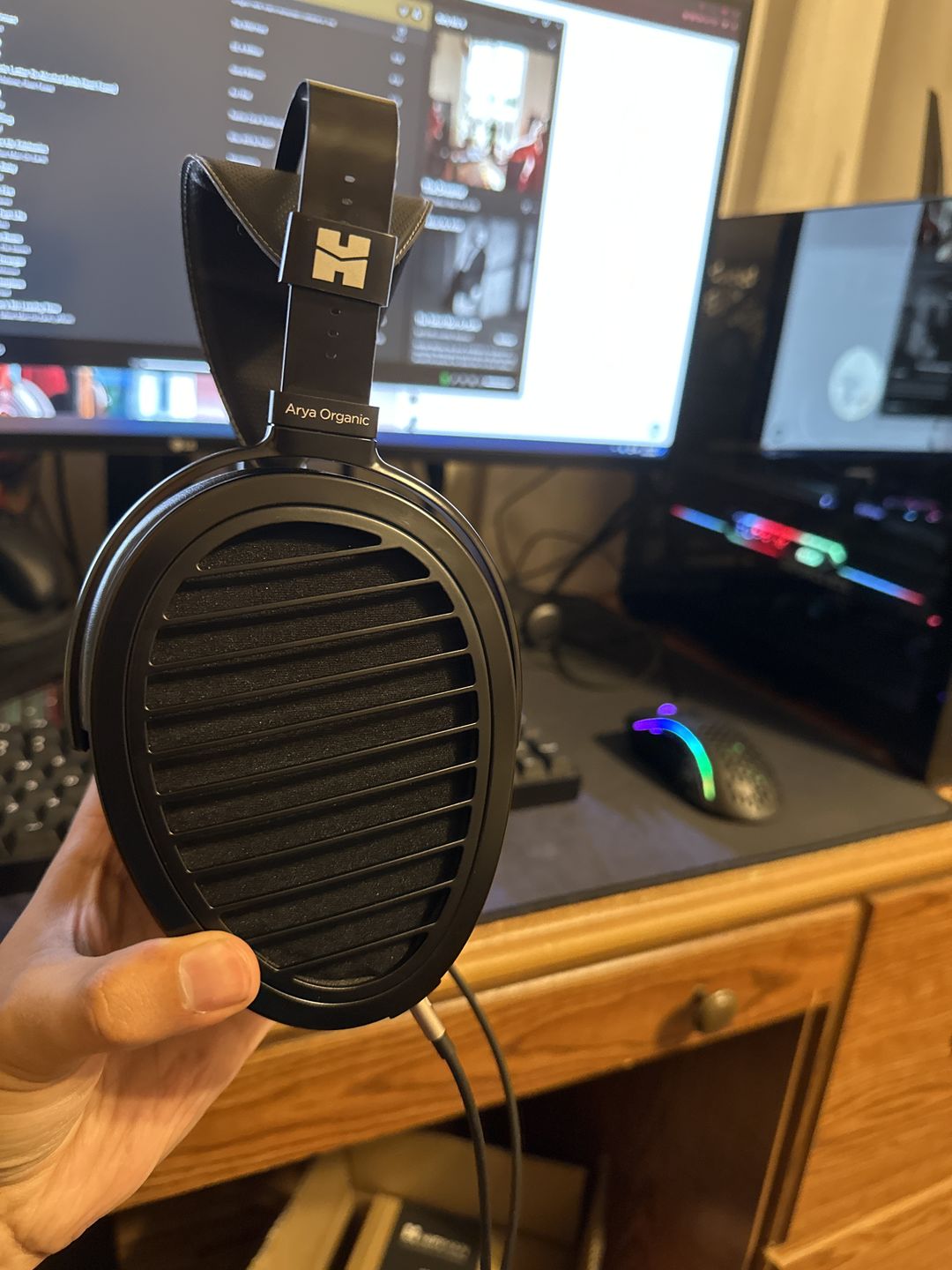 Customer photo review of Hifiman Arya Organic Headphones
