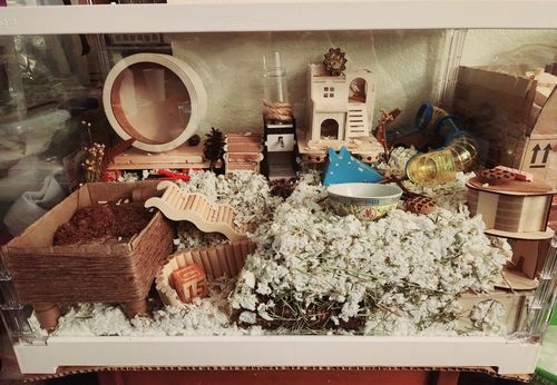 Customer photo review of Niteangel Stacker Series Hamster Cage: - Stackable & Large Glass Terrarium (ca. 558 Sq In) for Hamster  or other Small-sized Pets