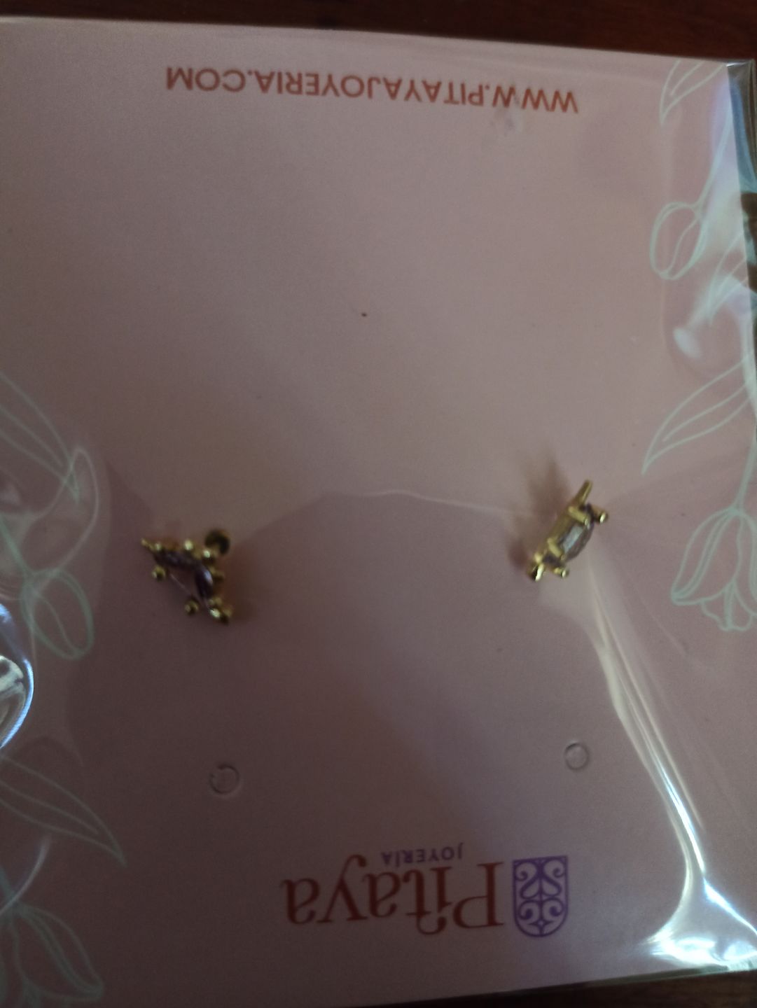 Customer photo review of Aretes de Dinosaurio