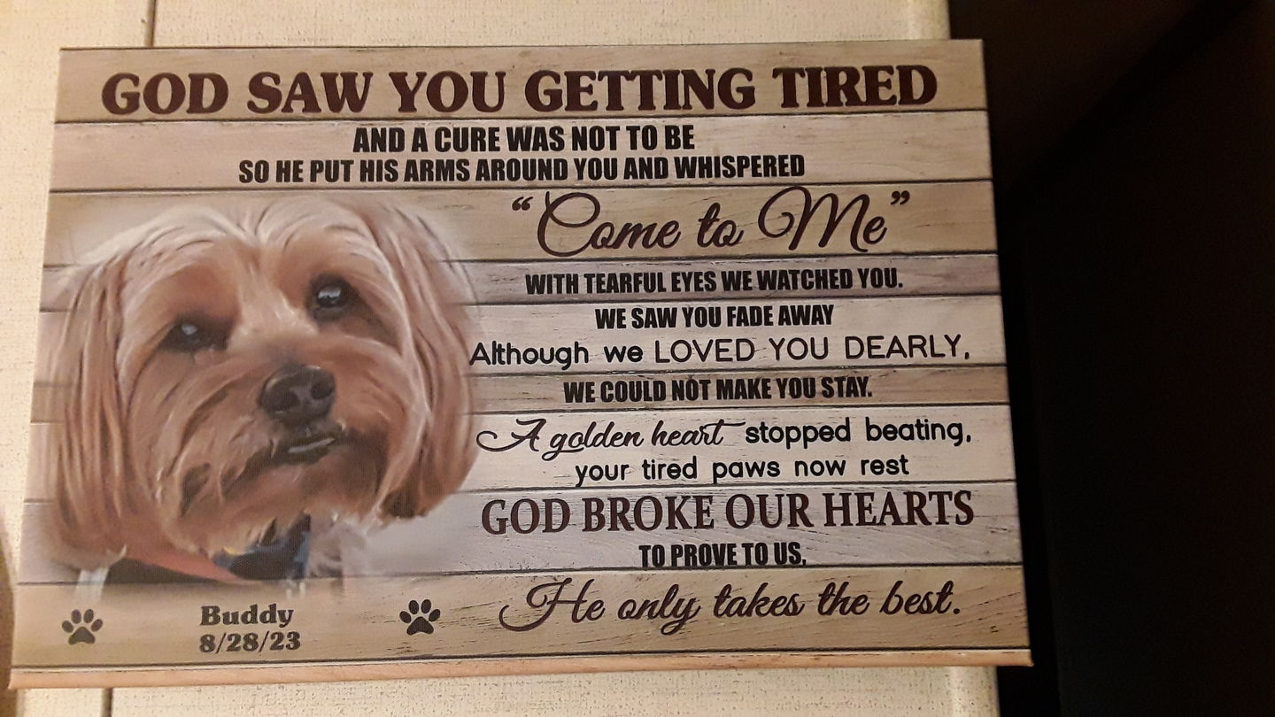Customer photo review of Personalized Photo Canvas Prints, Dog Loss Gifts, Pet Memorial Gifts, Dog Sympathy, God Saw You Getting Tired Dem Canvas