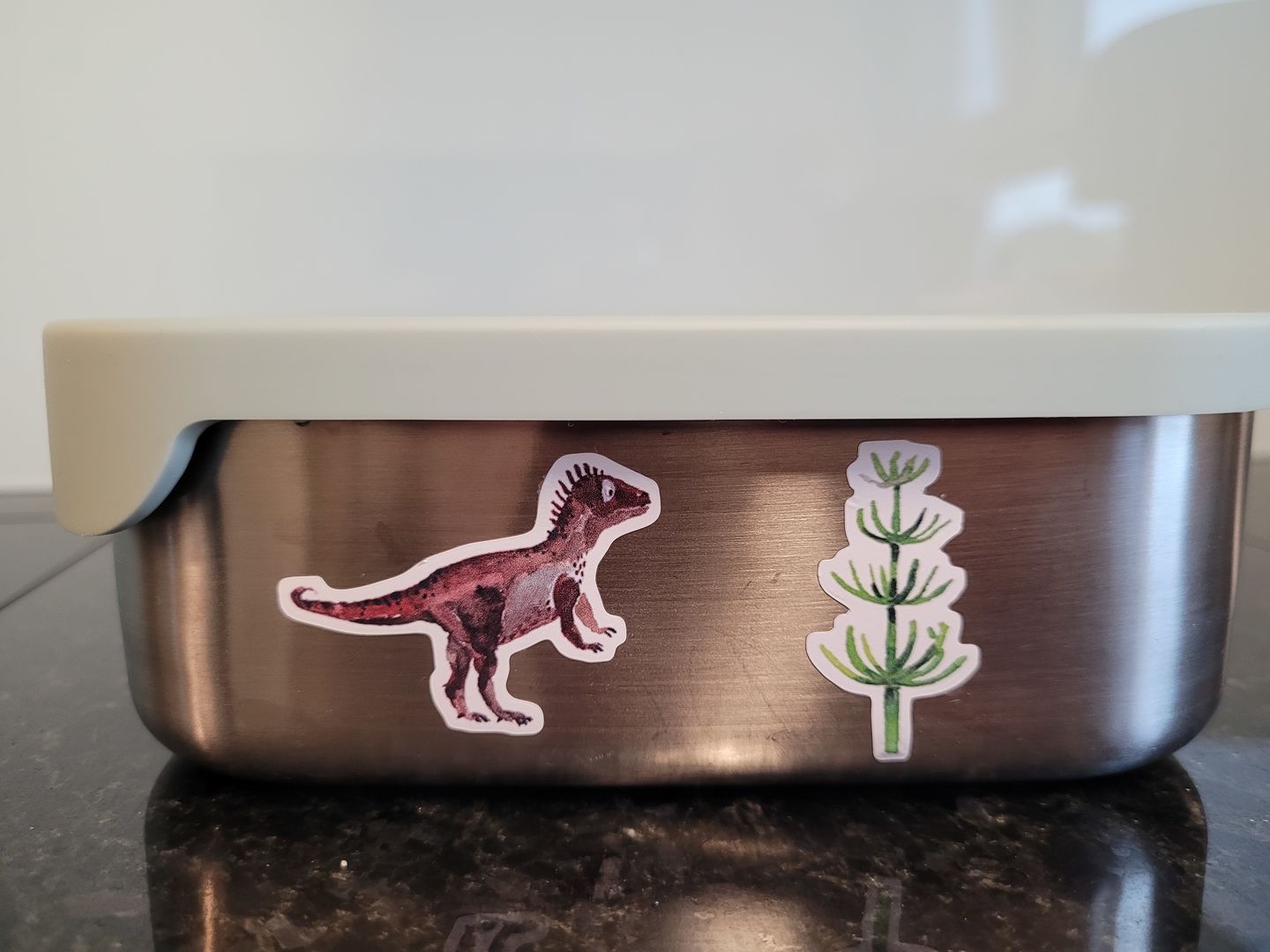 Customer photo review of spülmaschinenfeste Sticker "Dinos"