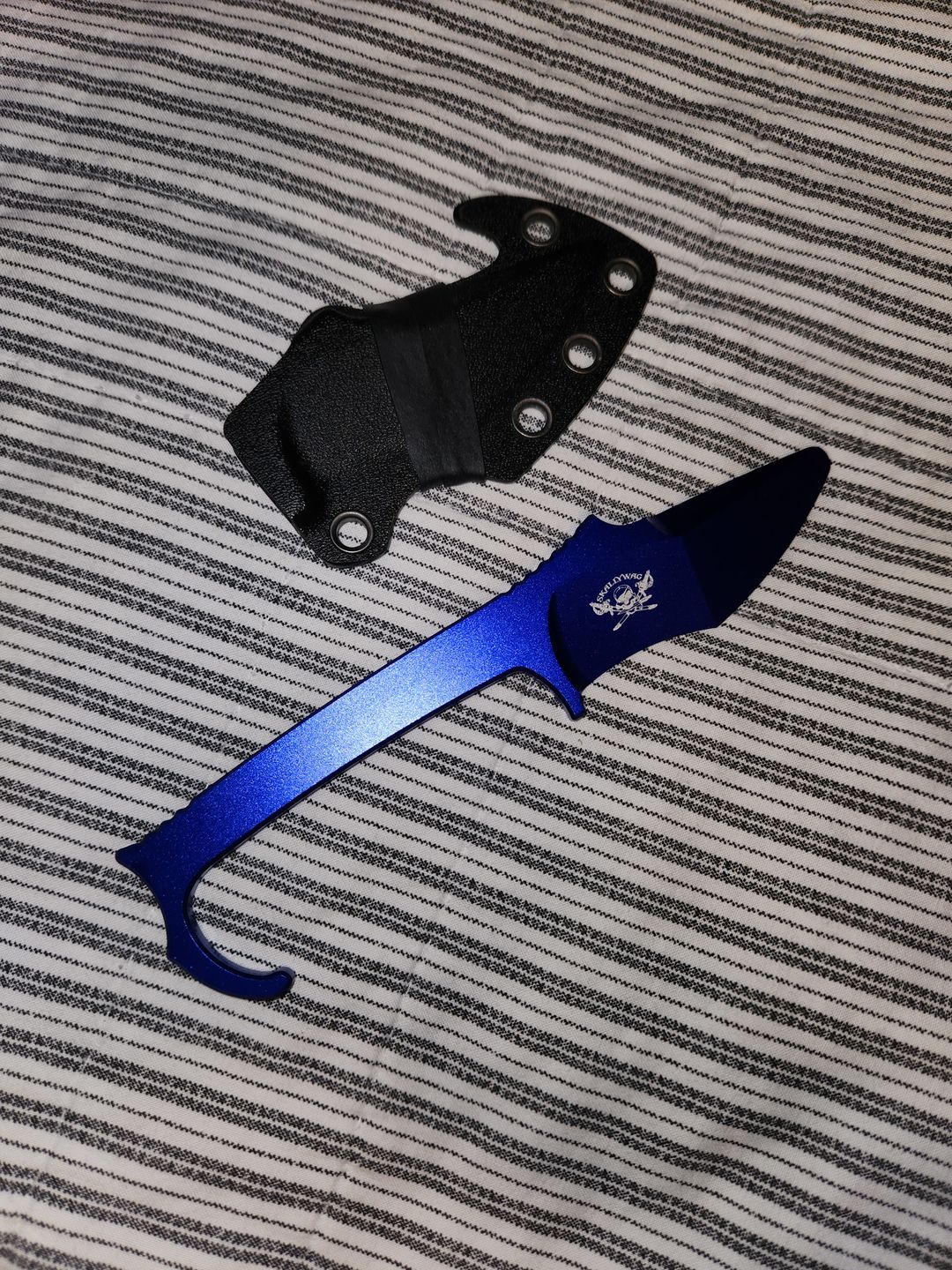Customer photo review of MDV Trainer (Blue)