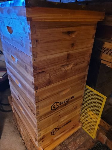 Customer photo review of BeeCastle Hives 10 Frame 4 Layer Complete Cedar Wood Beehive Kit:Designed with 2 Deep Beehive Boxes and 2 Super Bee Boxes,with Premium Wooden Frames and Beeswax Plastic Foundation