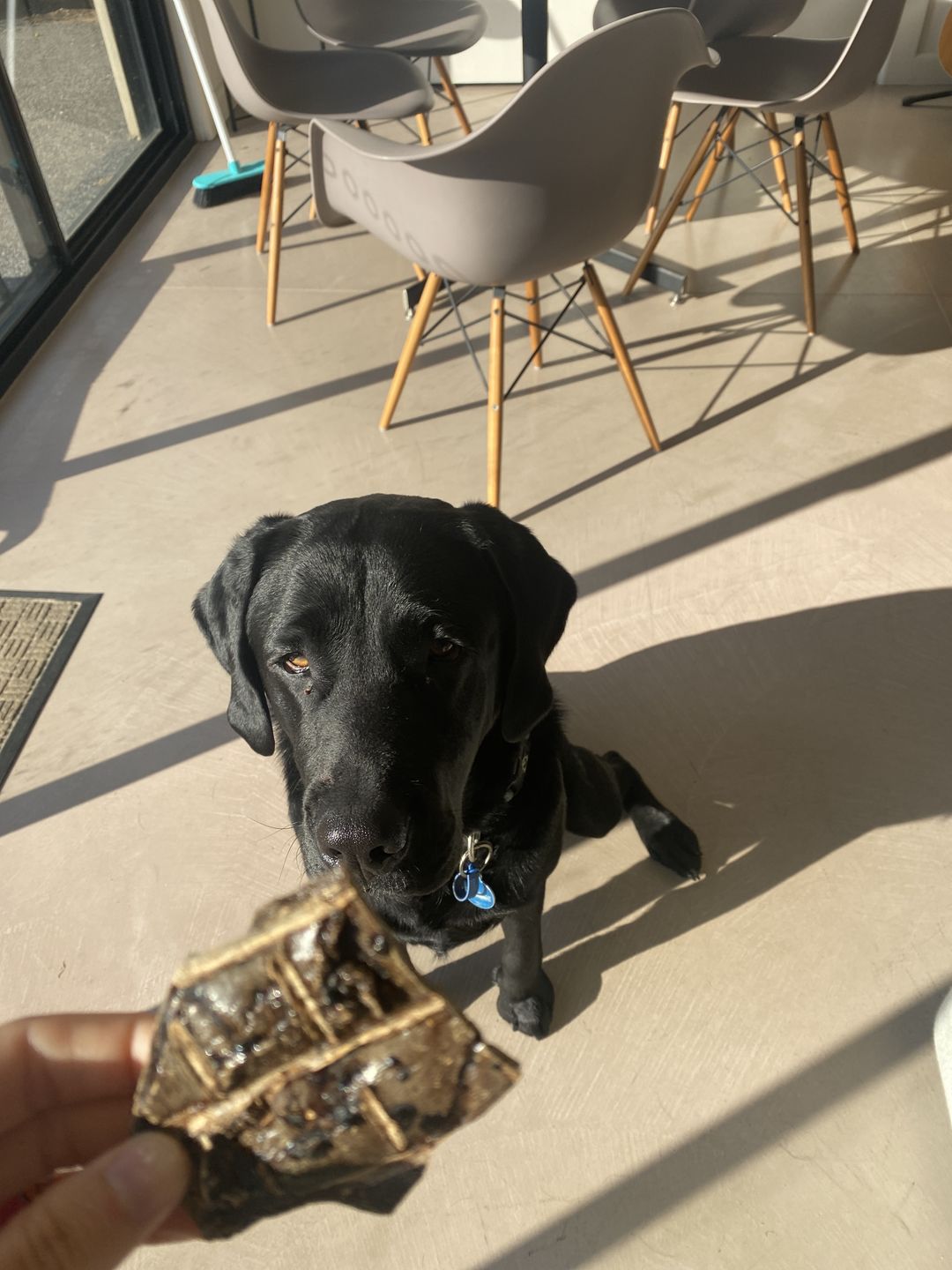 Customer photo review of Premium Aussie Beef Liver