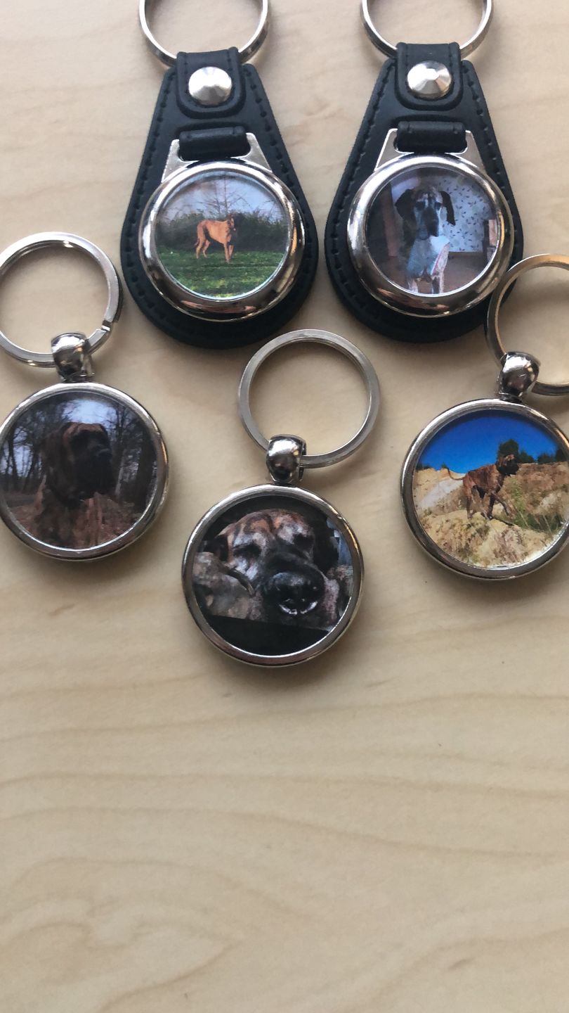 Customer photo review of Schlüsselanhänger-Bundle Leder 3x dein Foto für nur 19,90 €