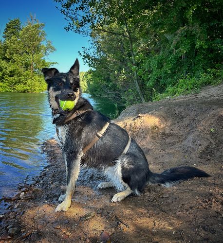 Customer photo review of Comfort Sicherheitsgeschirr, Panikgeschirr