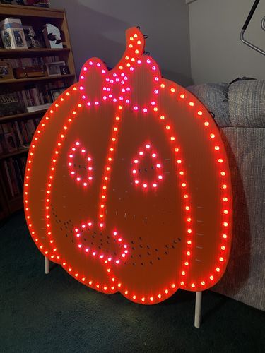 Customer photo review of EVO Pixels