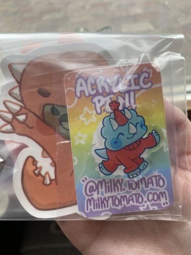 Customer photo review of Party Dino Acrylic Pins!