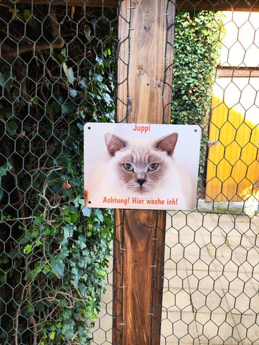 Customer photo review of Katzen-Türschild mit Foto & Wunschtext