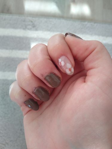 Customer photo review of Limited Edition Daydream Kit