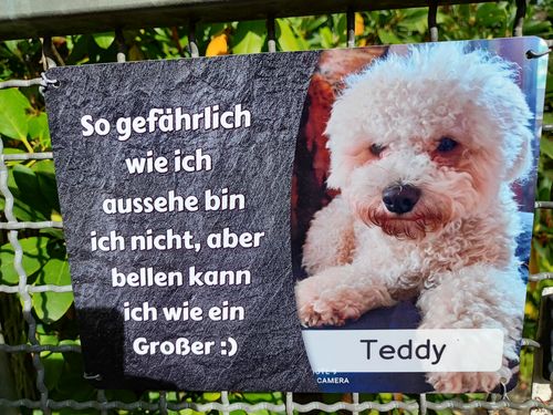 Customer photo review of Hunde Türschild personalisiert mit Foto & Text (UV- und wetterfest)