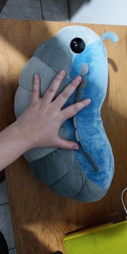 Customer photo review of Pillie Bug Plushie