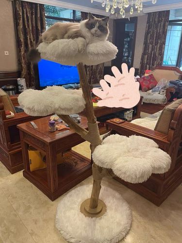 Customer photo review of Michu Fluffy Blossom Real Wood Cat Tree - Premium Quality & Stylish Cat Furniture - Extra Large