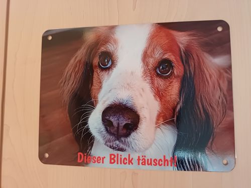 Customer photo review of Hunde-Türschild mit Foto & Wunschtext