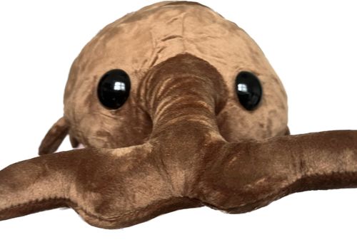 Customer photo review of Woody & Wheaty SugarBeetle Plushie