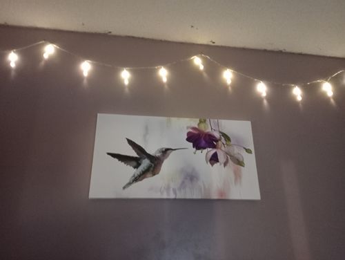 Customer photo review of Hummingbird Flowers