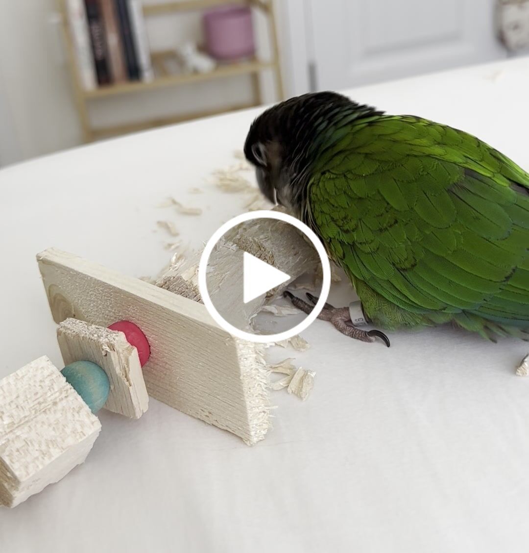 Customer video review of 1" Balsa Cubes - 10 Pack