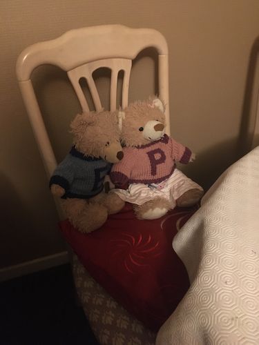 Customer photo review of Limited Edition Hand Made Eddy And Peggy Jumpers